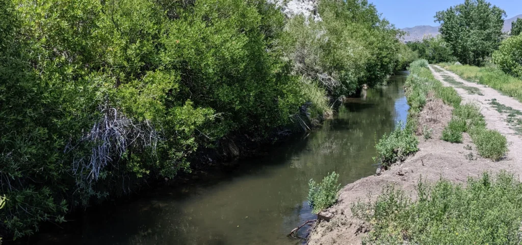 Last Chance Ditch near Mayberry Park